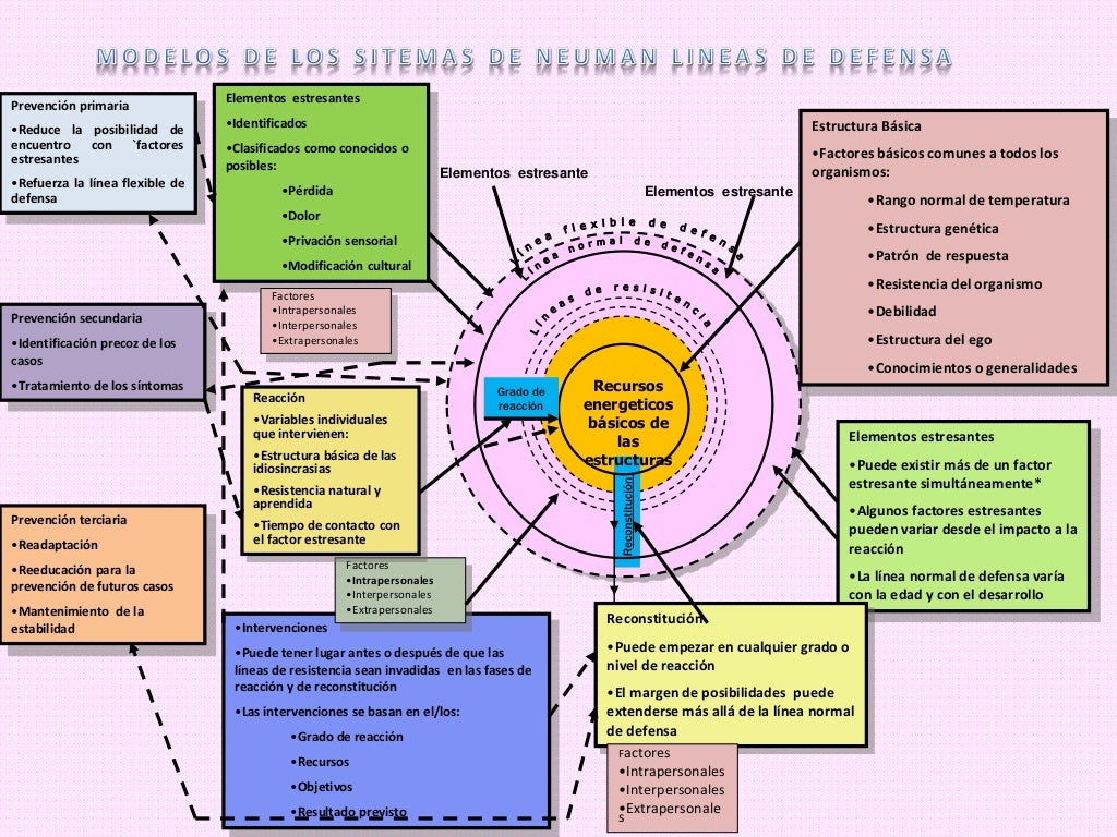 Teoria Pielegnowania Wg Betty Neuman
