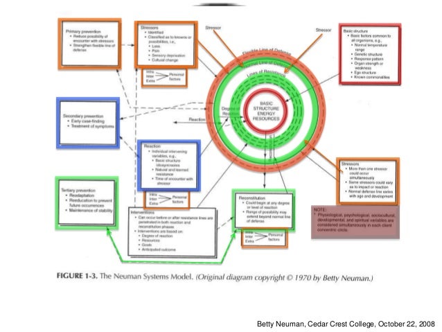 betty newman nursing theory betty newman nursing theory