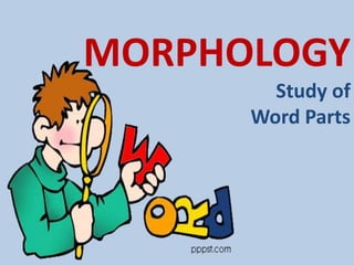 MORPHOLOGY
        Study of
      Word Parts
 