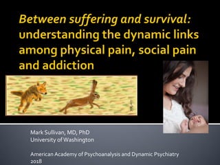 Mark Sullivan, MD, PhD
University ofWashington
American Academy of Psychoanalysis and Dynamic Psychiatry
2018
 