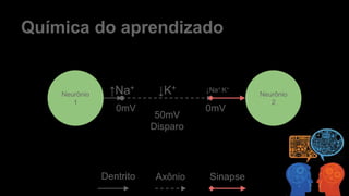Química do aprendizado
Neurônio
1
Neurônio
2
↑Na+
Dentrito
↓K+
0mV
50mV
Disparo
0mV
↓Na+ K+
Axônio Sinapse
 
