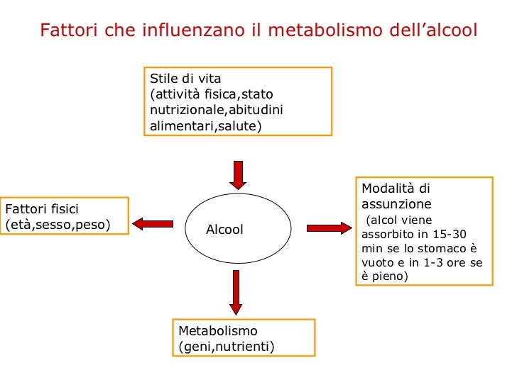 Bevande Alcoliche Classificazione E Metabolismo Dell Etanolo