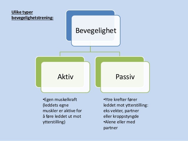Bevegelighetstrening