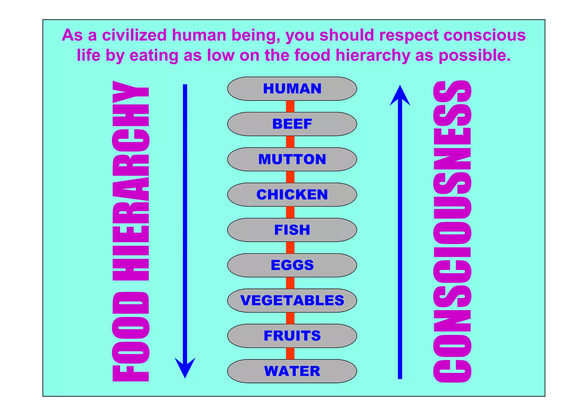 As a civilized human being, you should respect conscious
 life by eating as low on the food hierarchy as possible.
                        HUMAN




                                            CONSCIOUSNESS
     FOOD HIERARCHY      BEEF

                        MUTTON

                       CHICKEN

                          FISH

                         EGGS

                      VEGETABLES

                        FRUITS

                        WATER
 