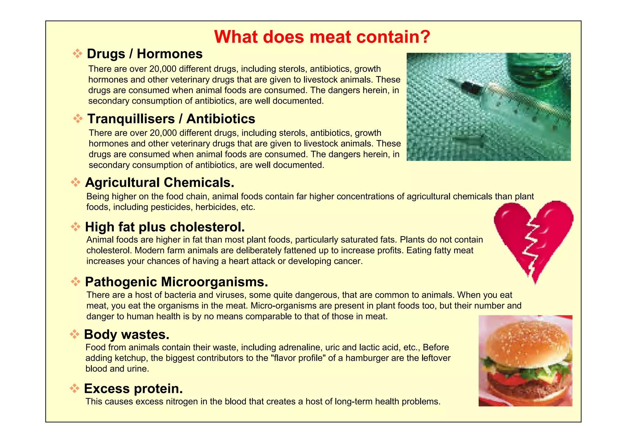 What does meat contain?
 Drugs / Hormones
  There are over 20,000 different drugs, including sterols, antibiotics, growth
  hormones and other veterinary drugs that are given to livestock animals. These
  drugs are consumed when animal foods are consumed. The dangers herein, in
  secondary consumption of antibiotics, are well documented.

 Tranquillisers / Antibiotics
   There are over 20,000 different drugs, including sterols, antibiotics, growth
   hormones and other veterinary drugs that are given to livestock animals. These
   drugs are consumed when animal foods are consumed. The dangers herein, in
   secondary consumption of antibiotics, are well documented.

 Agricultural Chemicals.
  Being higher on the food chain, animal foods contain far higher concentrations of agricultural chemicals than plant
  foods, including pesticides, herbicides, etc.

 High fat plus cholesterol.
  Animal foods are higher in fat than most plant foods, particularly saturated fats. Plants do not contain
  cholesterol. Modern farm animals are deliberately fattened up to increase profits. Eating fatty meat
  increases your chances of having a heart attack or developing cancer.

 Pathogenic Microorganisms.
  There are a host of bacteria and viruses, some quite dangerous, that are common to animals. When you eat
  meat, you eat the organisms in the meat. Micro-organisms are present in plant foods too, but their number and
  danger to human health is by no means comparable to that of those in meat.

 Body wastes.
  Food from animals contain their waste, including adrenaline, uric and lactic acid, etc., Before
  adding ketchup, the biggest contributors to the "flavor profile" of a hamburger are the leftover
  blood and urine.

 Excess protein.
  This causes excess nitrogen in the blood that creates a host of long-term health problems.
 