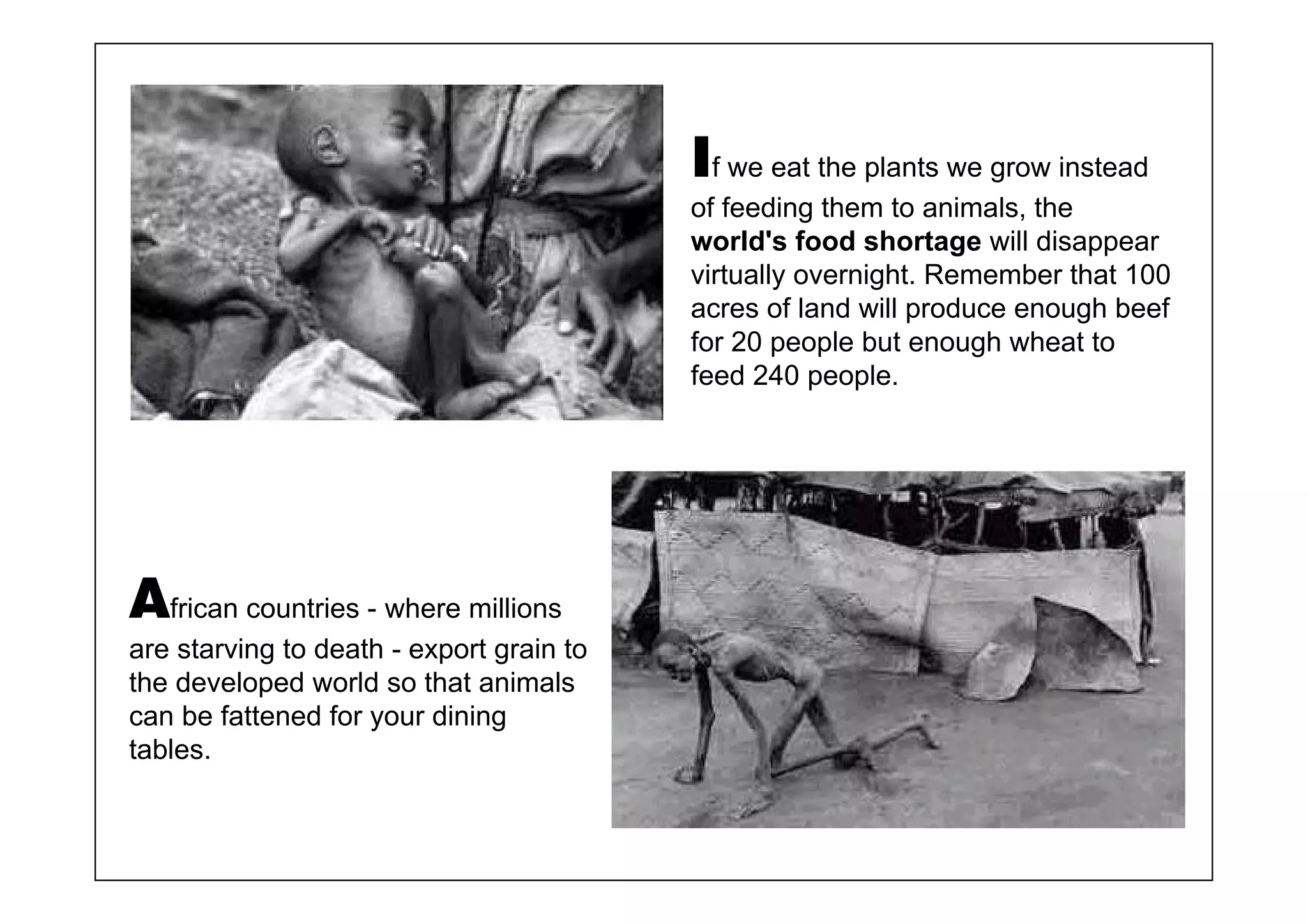 If we eat the plants we grow instead
                                          of feeding them to animals, the
                                          world's food shortage will disappear
                                          virtually overnight. Remember that 100
                                          acres of land will produce enough beef
                                          for 20 people but enough wheat to
                                          feed 240 people.




African countries - where millions
are starving to death - export grain to
the developed world so that animals
can be fattened for your dining
tables.
 