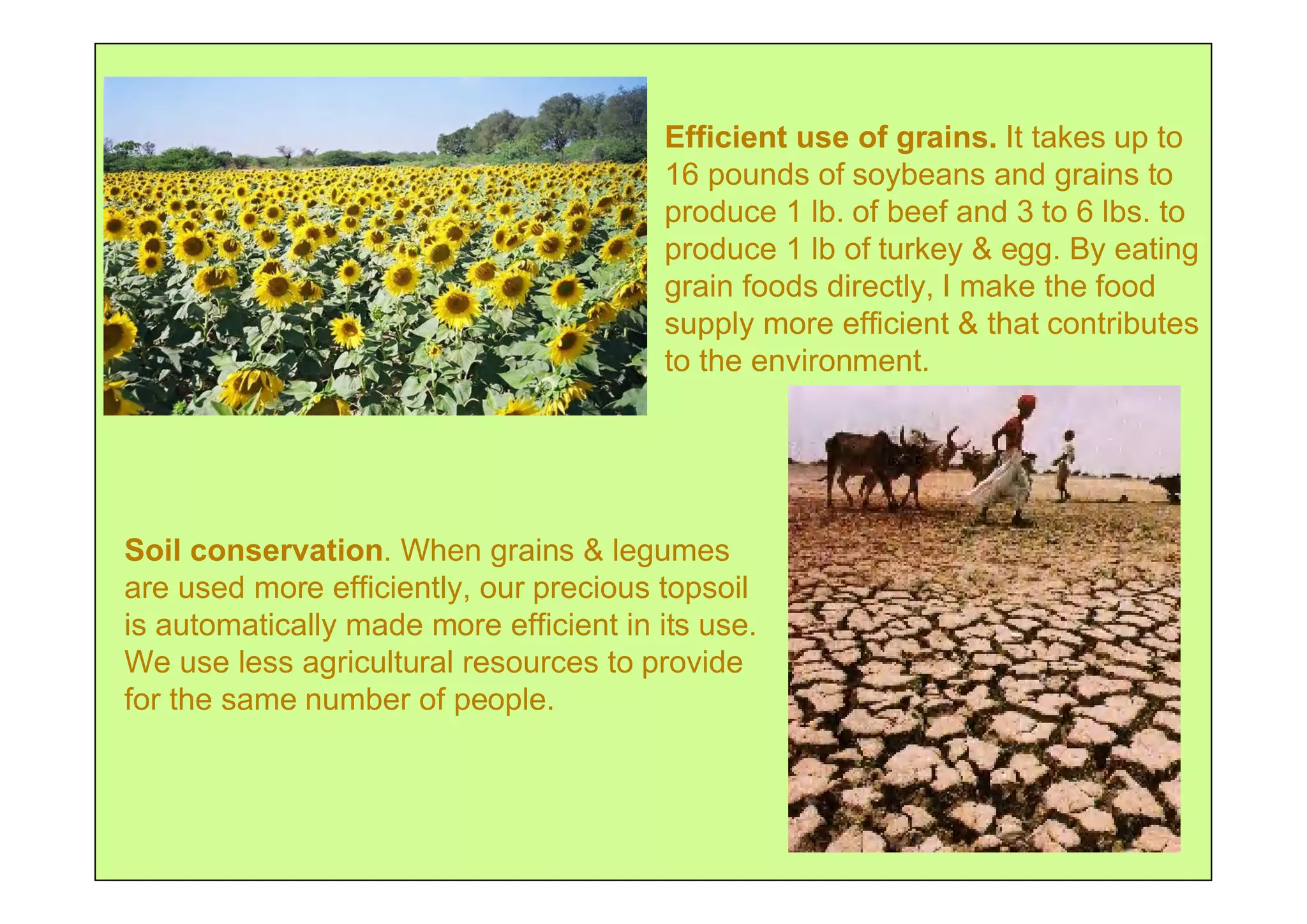 Efficient use of grains. It takes up to
                                        16 pounds of soybeans and grains to
                                        produce 1 lb. of beef and 3 to 6 lbs. to
                                        produce 1 lb of turkey & egg. By eating
                                        grain foods directly, I make the food
                                        supply more efficient & that contributes
                                        to the environment.




Soil conservation. When grains & legumes
are used more efficiently, our precious topsoil
is automatically made more efficient in its use.
We use less agricultural resources to provide
for the same number of people.
 
