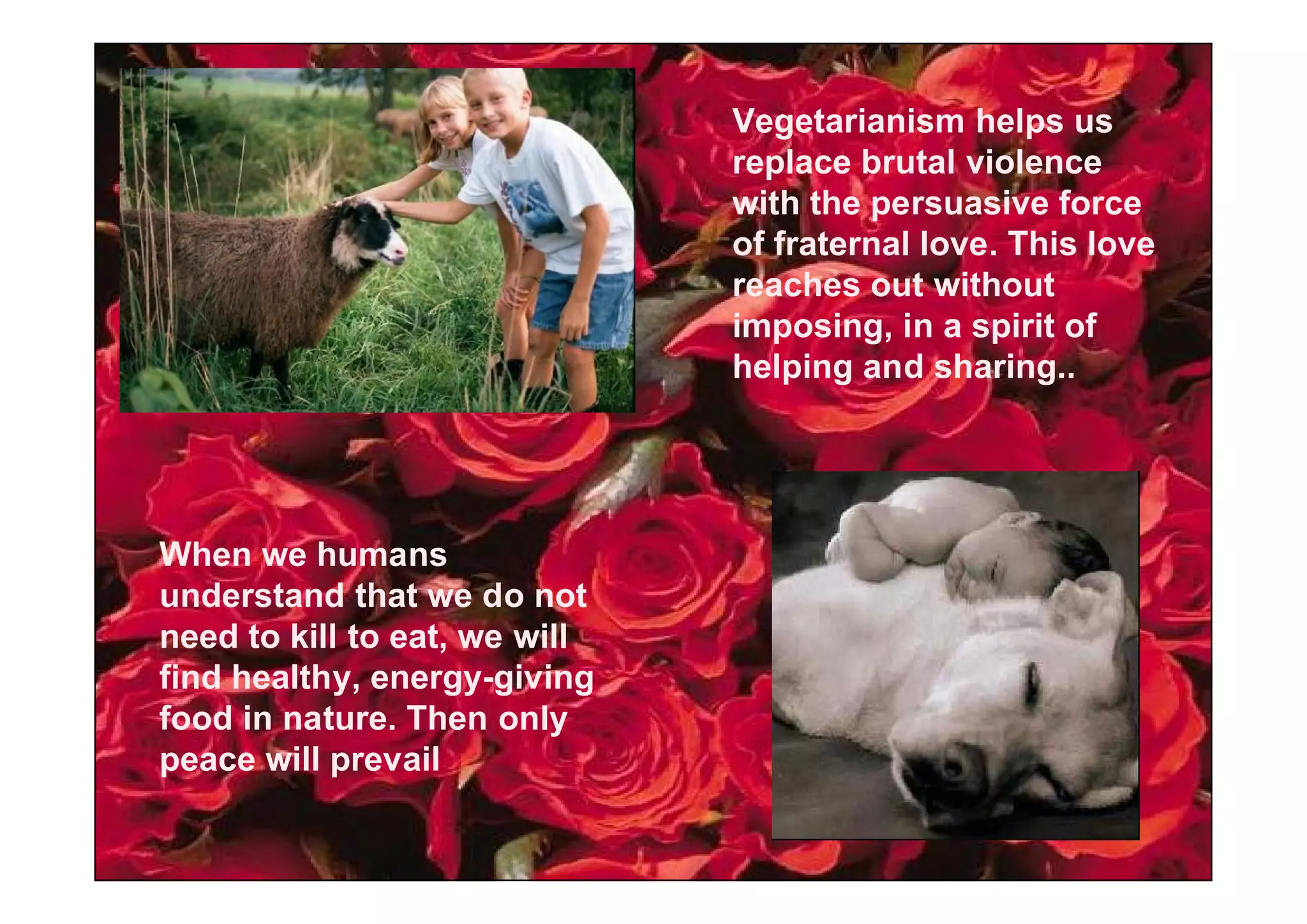 Vegetarianism helps us
                               replace brutal violence
                               with the persuasive force
                               of fraternal love. This love
                               reaches out without
                               imposing, in a spirit of
                               helping and sharing..




When we humans
understand that we do not
need to kill to eat, we will
find healthy, energy-giving
food in nature. Then only
peace will prevail
 