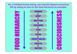 As a civilized human being, you should respect conscious
 life by eating as low on the food hierarchy as possible.
                        HUMAN




                                            CONSCIOUSNESS
     FOOD HIERARCHY      BEEF

                        MUTTON

                       CHICKEN

                          FISH

                         EGGS

                      VEGETABLES

                        FRUITS

                        WATER
 