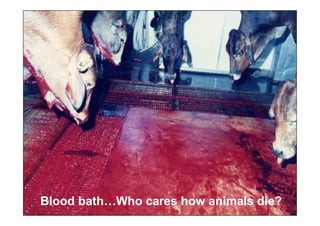 Blood bath…Who cares how animals die?
 