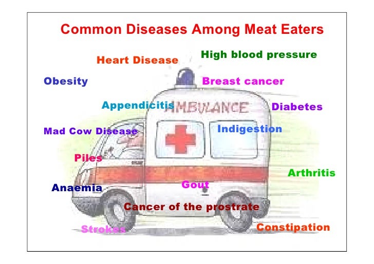 Why Be Vegetarian 