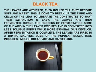 BLACK TEA
THE LEAVES ARE WITHERED, THEN ROLLED TILL THEY BECOME
SOFT AND MASSY. THIS IS DONE TO BREAK UP THE FIBRE AND
CELLS OF THE LEAF TO LIBERATE THE CONSTITUTES SO THAT
THEIR EXTRACTION IS EASY. THE LEAVES ARE THEN
FERMENTED. DURING THE PROCESS OF FERMENTATION SOME
OF THE ACID IN THE LEAVES OXIDISES AND IS CONVERTED INTO
LESS SOLUBLE FORMS WHILE MORE ESSNTIAL OILS DEVELOP.
AFTER FERMENTATION IS COMPLETE, THE LEAVES ARE FIRED IN
A DRYING MACHINE. SOME OF THE POPULAR BLACK TEAS
INCLUDES ENGLISH BREAKFAST AND DARJEELING.
 