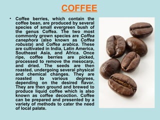 COFFEE
• Coffee berries, which contain the
coffee bean, are produced by several
species of small evergreen bush of
the genus Coffea. The two most
commonly grown species are Coffea
canephora (also known as Coffea
robusta) and Coffea arabica. These
are cultivated in India, Latin America,
Southeast Asia, and Africa. Once
ripe, coffee berries are picked,
processed to remove the mesocarp,
and dried. The seeds are then
roasted, undergoing several physical
and chemical changes. They are
roasted to various degrees,
depending on the desired flavor.
They are then ground and brewed to
produce liquid coffee which is also
known as coffee decoction. Coffee
can be prepared and presented by a
variety of methods to cater the need
of local palate.
 