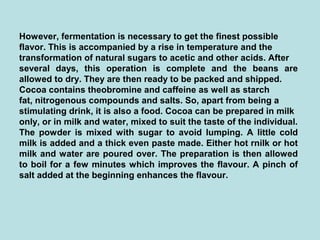 However, fermentation is necessary to get the finest possible
flavor. This is accompanied by a rise in temperature and the
transformation of natural sugars to acetic and other acids. After
several days, this operation is complete and the beans are
allowed to dry. They are then ready to be packed and shipped.
Cocoa contains theobromine and caffeine as well as starch
fat, nitrogenous compounds and salts. So, apart from being a
stimulating drink, it is also a food. Cocoa can be prepared in milk
only, or in milk and water, mixed to suit the taste of the individual.
The powder is mixed with sugar to avoid lumping. A little cold
milk is added and a thick even paste made. Either hot rnilk or hot
milk and water are poured over. The preparation is then allowed
to boil for a few minutes which improves the flavour. A pinch of
salt added at the beginning enhances the flavour.
 