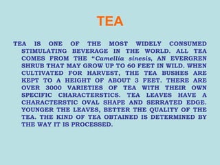 TEA
TEA IS ONE OF THE MOST WIDELY CONSUMED
STIMULATING BEVERAGE IN THE WORLD. ALL TEA
COMES FROM THE “Camellia sinesis, AN EVERGREN
SHRUB THAT MAY GROW UP TO 60 FEET IN WILD. WHEN
CULTIVATED FOR HARVEST, THE TEA BUSHES ARE
KEPT TO A HEIGHT OF ABOUT 3 FEET. THERE ARE
OVER 3000 VARIETIES OF TEA WITH THEIR OWN
SPECIFIC CHARACTERSTICS. TEA LEAVES HAVE A
CHARACTERSTIC OVAL SHAPE AND SERRATED EDGE.
YOUNGER THE LEAVES, BETTER THE QUALITY OF THE
TEA. THE KIND OF TEA OBTAINED IS DETERMINED BY
THE WAY IT IS PROCESSED.
 