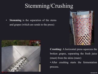Stemming/Crushing
• Stemming is the separation of the stems
and grapes (which are sends to the press)
Crushing: A horizontal press squeezes the
broken grapes, separating the fresh juice
(must) from the skins (marc)
• After crushing starts the fermentation
process.
 