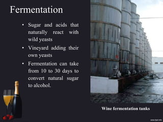 Fermentation
• Sugar and acids that
naturally react with
wild yeasts
• Vineyard adding their
own yeasts
• Fermentation can take
from 10 to 30 days to
convert natural sugar
to alcohol.
Wine fermentation tanks
 