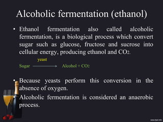 Alcoholic fermentation (ethanol)
• Ethanol fermentation also called alcoholic
fermentation, is a biological process which convert
sugar such as glucose, fructose and sucrose into
cellular energy, producing ethanol and CO2.
yeast
Sugar Alcohol + CO2
• Because yeasts perform this conversion in the
absence of oxygen.
• Alcoholic fermentation is considered an anaerobic
process.
 