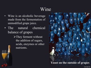 Wine
• Wine is an alcoholic beverage
made from the fermentation of
unmodified grape juice.
• The natural chemical
balance of grapes
They ferment without
the addition of sugars,
acids, enzymes or other
nutrients.
Yeast on the outside of grapes
 