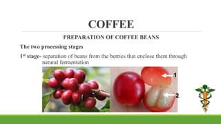 Beveragespdf 