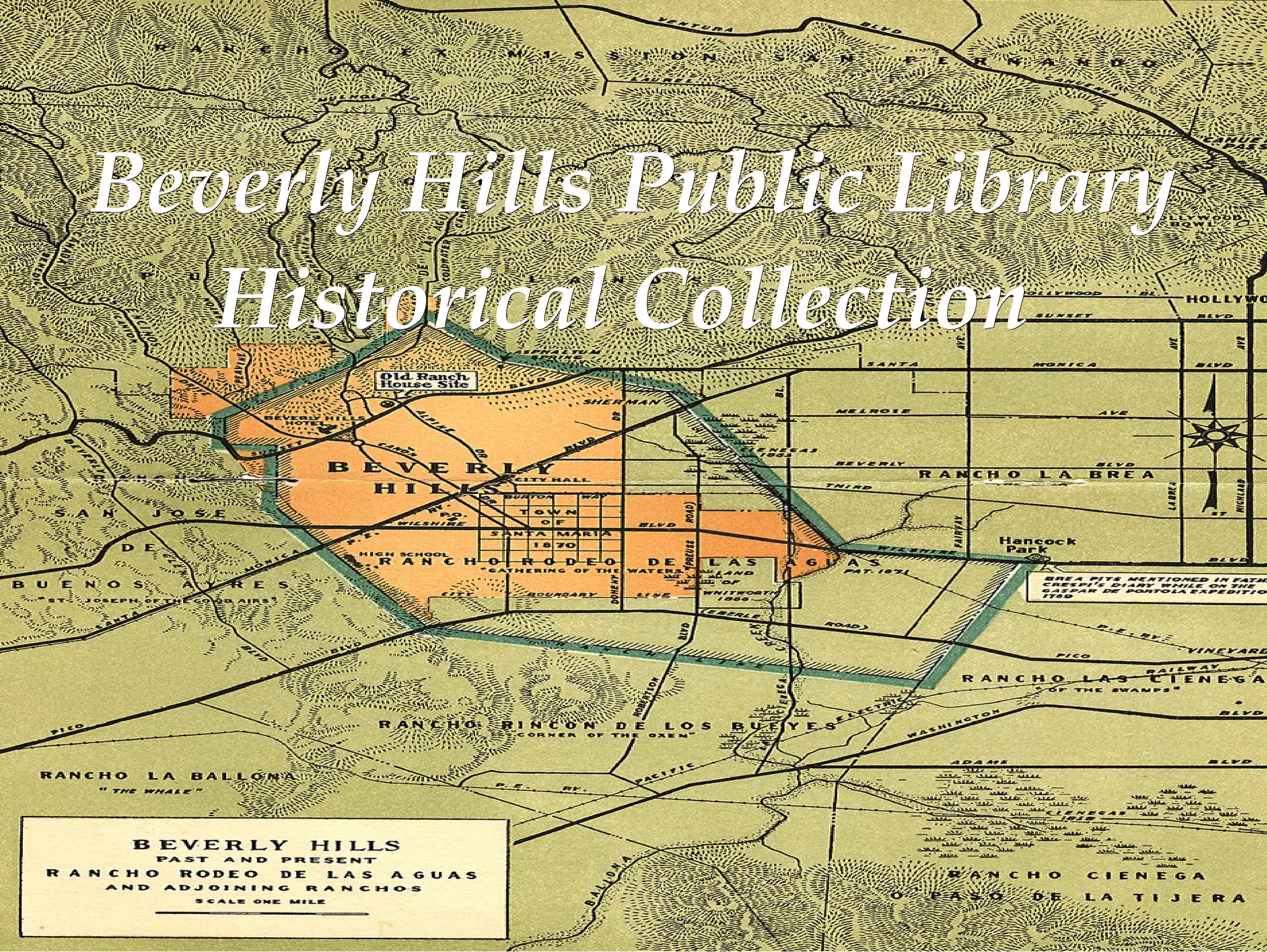 Beverly Hills Library Library Presentation Amy (Ppt) ODP
