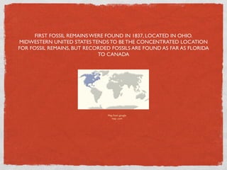 FIRST FOSSIL REMAINS WERE FOUND IN 1837, LOCATED IN OHIO.
MIDWESTERN UNITED STATES TENDS TO BE THE CONCENTRATED LOCATION
FOR FOSSIL REMAINS, BUT RECORDED FOSSILS ARE FOUND AS FAR AS FLORIDA
                             TO CANADA




                                Map from google
                                   map .com
 