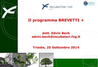 Incubatori d’impresa 
1 
Il programma BREVETTI + 
dott. Edvin Bevk 
edvin.bevk@incubatori.fvg.it 
Trieste, 25 Settembre 2014  
