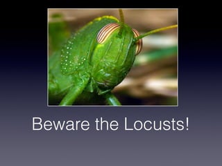 Beware the Locusts!
 