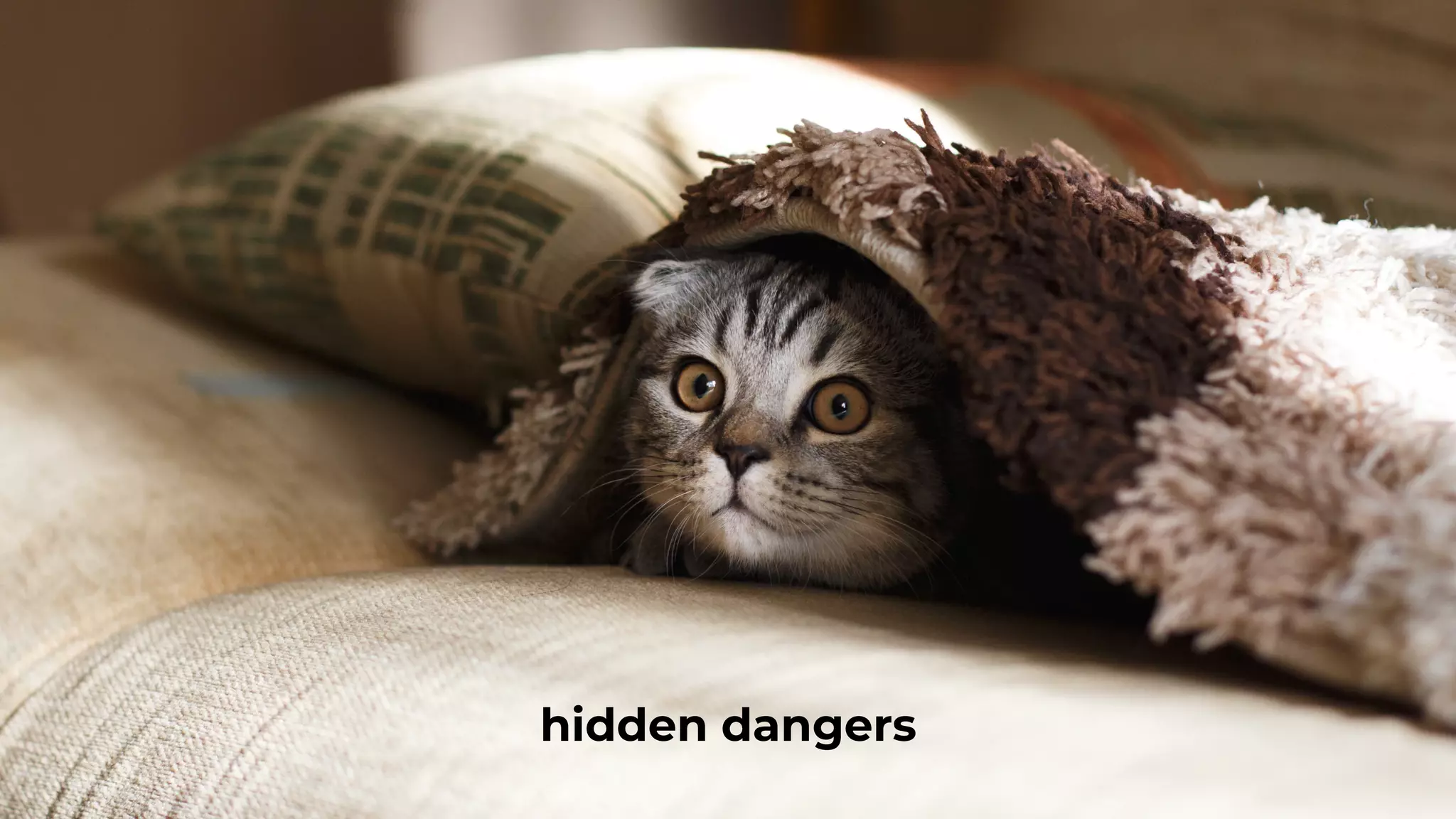 hidden dangers
 