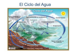El Ciclo del Agua

 