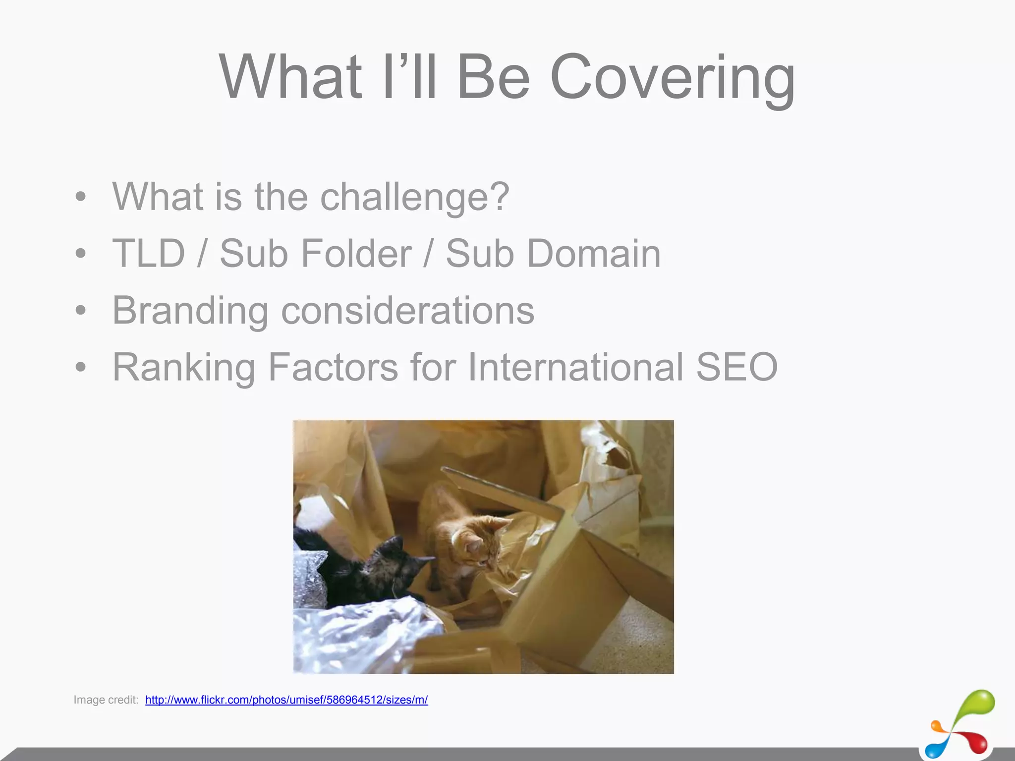 11 years in marketing