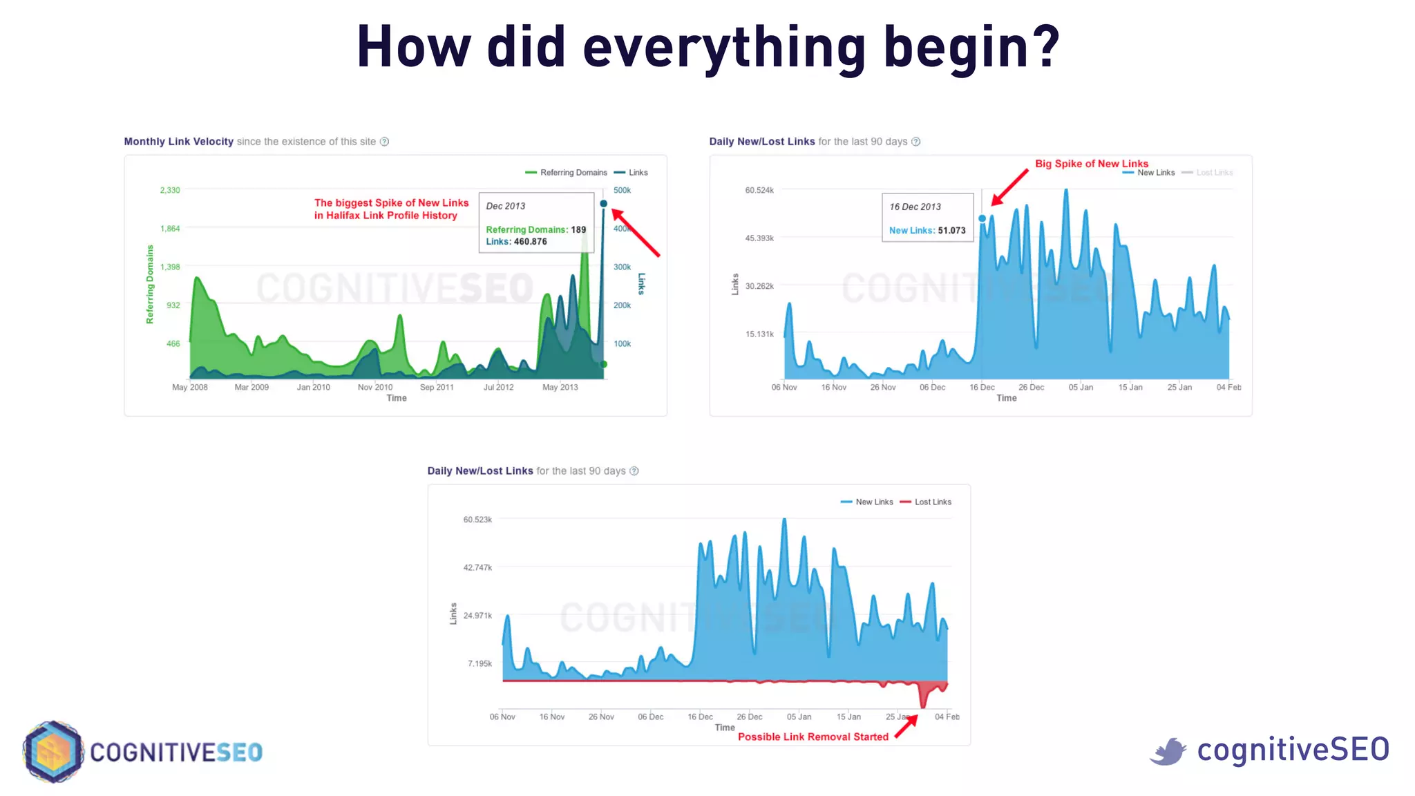 cognitiveSEO
How did everything begin?
 