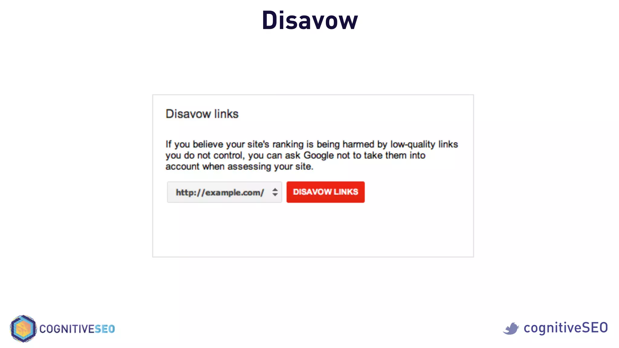cognitiveSEO
Disavow
 
