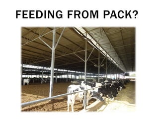 Compost Bedded Pack Barn Design and Management | PDF