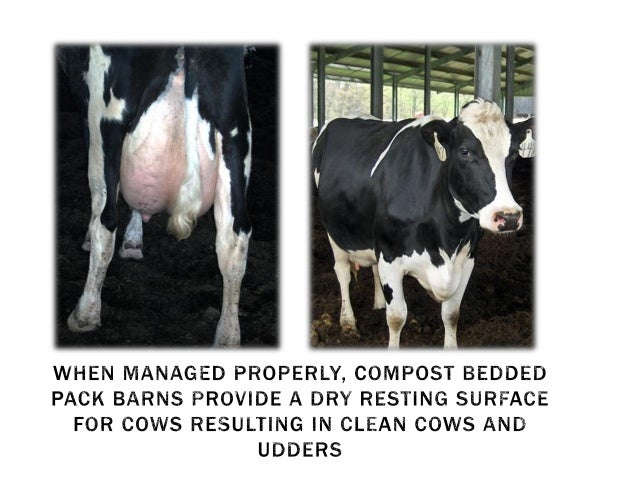 Compost Bedded Pack Barn Design And Management