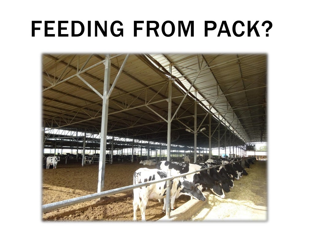 Compost Bedded Pack Barn Design and Management