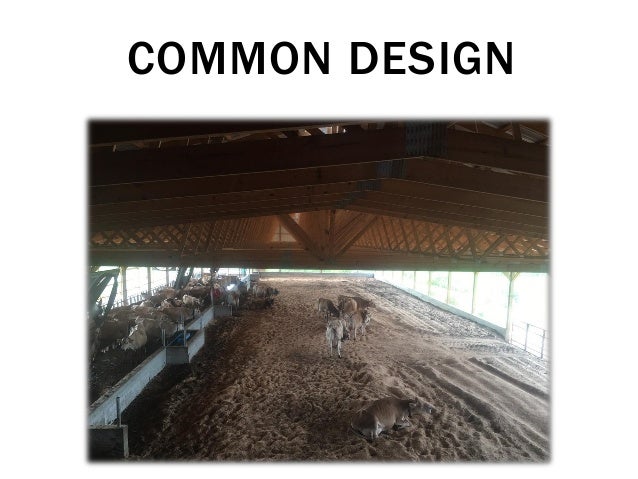 Compost Bedded Pack Barn Design And Management