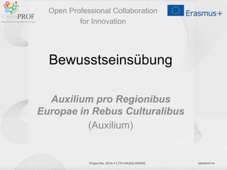 openprof.euProject No. 2014-1-LT01-KA202-000562
Bewusstseinsübung
Auxilium pro Regionibus
Europae in Rebus Culturalibus
(Auxilium)
Open Professional Collaboration
for Innovation
 