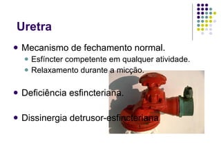 Uretra Mecanismo de fechamento normal. Esfíncter competente em qualquer atividade. Relaxamento durante a micção. Deficiência esfincteriana. Dissinergia detrusor-esfincteriana 
