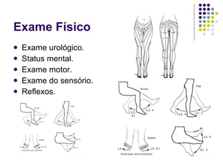 Exame Físico Exame urológico. Status mental. Exame motor. Exame do sensório. Reflexos. 