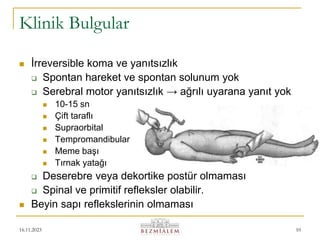 16.11.2023 10
Klinik Bulgular
 İrreversible koma ve yanıtsızlık
 Spontan hareket ve spontan solunum yok
 Serebral motor yanıtsızlık → ağrılı uyarana yanıt yok
 10-15 sn
 Çift taraflı
 Supraorbital
 Tempromandibular
 Meme başı
 Tırnak yatağı
 Deserebre veya dekortike postür olmaması
 Spinal ve primitif refleksler olabilir.
 Beyin sapı reflekslerinin olmaması
 