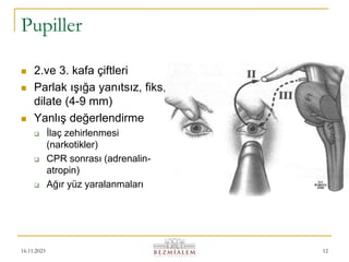 16.11.2023 12
Pupiller
 2.ve 3. kafa çiftleri
 Parlak ışığa yanıtsız, fiks,
dilate (4-9 mm)
 Yanlış değerlendirme
 İlaç zehirlenmesi
(narkotikler)
 CPR sonrası (adrenalin-
atropin)
 Ağır yüz yaralanmaları
 