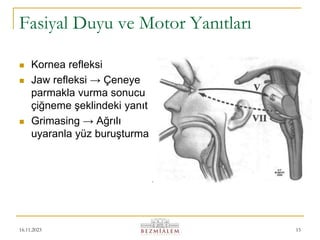 16.11.2023 15
Fasiyal Duyu ve Motor Yanıtları
 Kornea refleksi
 Jaw refleksi → Çeneye
parmakla vurma sonucu
çiğneme şeklindeki yanıt
 Grimasing → Ağrılı
uyaranla yüz buruşturma
 