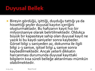  Bireyin gördüğü, işittiği, duyduğu tattığı ya da
hissettiği şeyler duyusal kayıtın içeriğini
oluşturmaktadır. Bu hafızanın kayıt hızı bir
milyon/saniye olarak belirtilmektedir. Oldukça
büyük bir kapasiteye sahip olan duyusal kayıt ne
yazık ki bu kaydı saniyeler sonra kaybeder.
Görsel bilgi 1 saniyeden az, dokunma ile ilgili
bilgi 2-3 saniye, işitsel bilgi 4 saniye sonra
kaybedilmektedir. Ancak yeterli dikkatin
harcanması durumunda duyusal kayıttaki
bilgilerin kısa süreli belleğe aktarılması mümkün
olabilmektedir.
BüşraTuncel21.04.2013 22
 