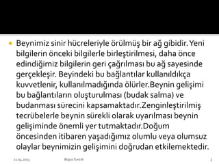  Beynimiz sinir hücreleriyle örülmüş bir ağ gibidir.Yeni
bilgilerin önceki bilgilerle birleştirilmesi, daha önce
edindiğimiz bilgilerin geri çağrılması bu ağ sayesinde
gerçekleşir. Beyindeki bu bağlantılar kullanıldıkça
kuvvetlenir, kullanılmadığında ölürler.Beynin gelişimi
bu bağlantıların oluşturulması (budak salma) ve
budanması sürecini kapsamaktadır.Zenginleştirilmiş
tecrübelerle beynin sürekli olarak uyarılması beynin
gelişiminde önemli yer tutmaktadır.Doğum
öncesinden itibaren yaşadığımız olumlu veya olumsuz
olaylar beynimizin gelişimini doğrudan etkilemektedir.
BüşraTuncel21.04.2013 3
 