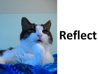 Reflect
www.flickr.com/photos/80829337@N00/225225979
 