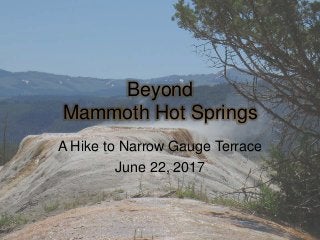 Beyond
Mammoth Hot Springs
A Hike to Narrow Gauge Terrace
June 22, 2017
 