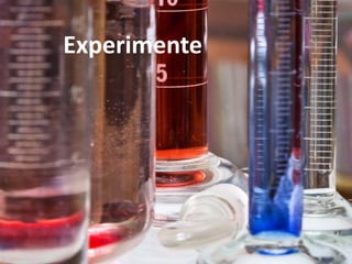 Experimente

 