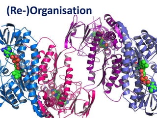 (Re-)Organisation

 