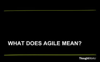 WHAT DOES AGILE MEAN?
 